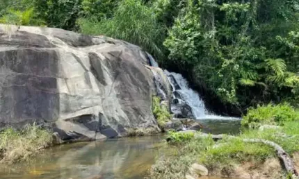 FAZENDA COM 385 HECTARES | Á VENDA | MASCOTE - BAHIA