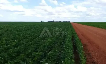 FAZENDA COM 21 MIL HECTARES | Á VENDA | TEREZINHA - PI