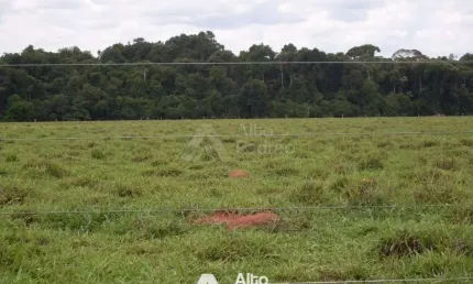 FAZENDA Á VENDA | 90.527 ALQUEIRE | SÃO FELIX DO ARAGUAIA -MG