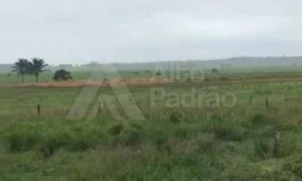 FAZENDA NO MUNICÍPIO DE BOM JESUS DAS SELVAS-MARANHÃO