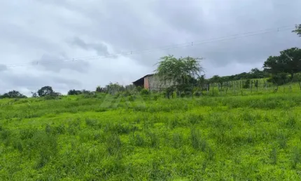 Chácara / sítio com 2 quartos à venda na Rua Do Capivari, sn, Centro, São Caitano