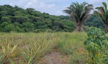 Fazenda à venda na Avenida José Bezerra, S/n, Centro, Tamandaré