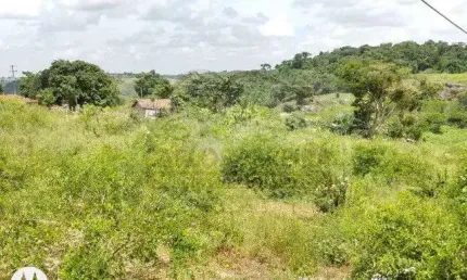 Chácara / sítio à venda na Rua Dois Leões, Dois Leões, Pombos
