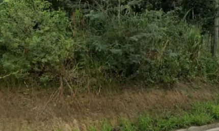 Terreno à venda em Bombas, Bombinhas 