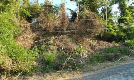 Terreno à venda na Escola Agrícola, Blumenau 
