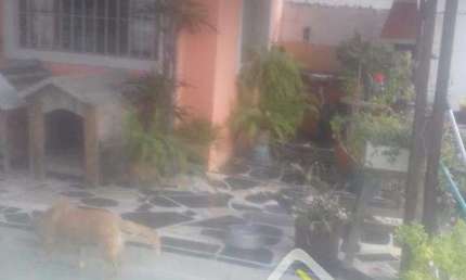 Casa para Venda em Mongaguá, VERA CRUZ MONGUAGUÁ, 3 dormitórios, 2 banheiros, 2 vagas