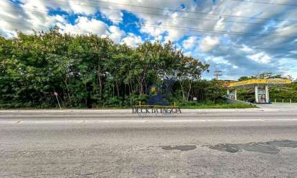 Terreno à venda, 7300 m² por R$ 8.000.000 - Porto do Carro - Cabo Frio/RJ