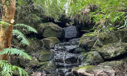Chácara / sítio à venda na Rua São José, Zona Rural, Cambará do Sul, 35000 m2 por R$ 200.000