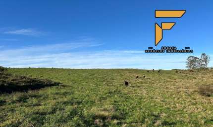 Chácara / sítio à venda na Zona Rural, Cambará do Sul 