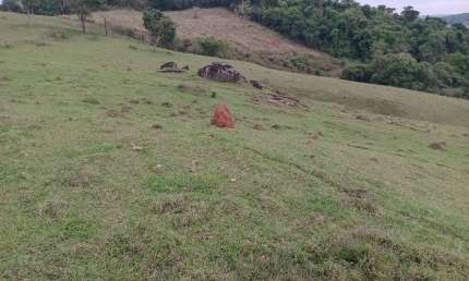 Sítio 14,5 alqueires com casa, água, energia, planta café milho, Jacuí Sul de Minas Gerais