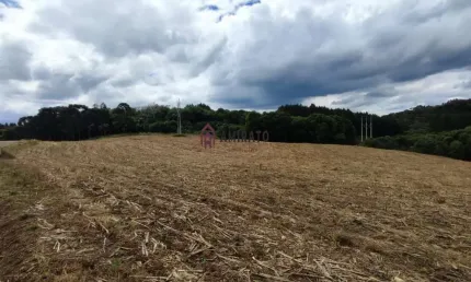 Área de Terra em Farroupilha, Nova Sardenha - Confira!