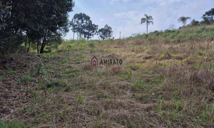 Oportunidade: Área de Terra em Nova Sardenha, Farroupilha