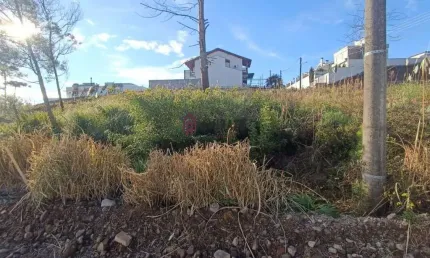 Terreno à venda - esquina - bairro são francisco - 363 m²