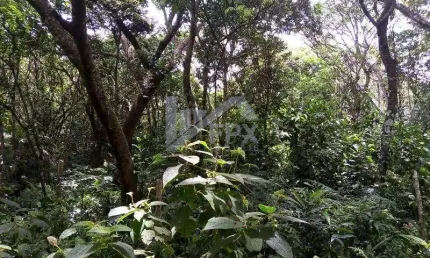 Terreno à venda em Balneário Marambaia, Itanhaém 