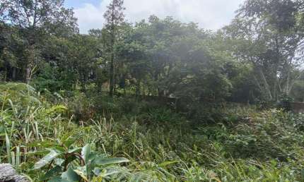 Terreno à venda em Balneário Marambaia, Itanhaém 