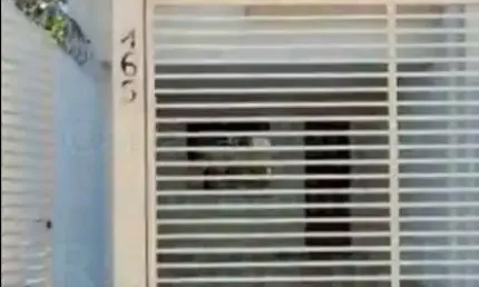 Casa com 3 quartos à venda na Rua Pirapetinga, 463, Vila Cristina, Betim por R$ 388.000