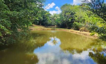 SÍTIO ECOLÓGICO C/ 27.500 M² C/ FONTE DE ÁGUA MINERAL, VIZINHO AO ALPHAVILLE LITORAL NORTE lll
