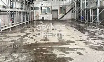 Galpão 1.200 m² p/ alugar em b. mansa | altíssima visibilidade e acesso à dutra