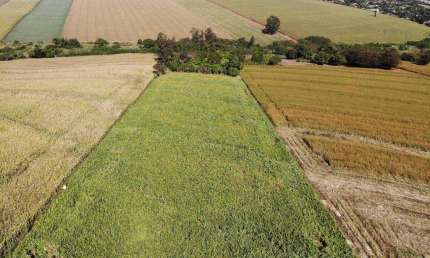 Sítio à venda em Maringá (Paiçandu), Jardim São Domingos, com 60500 m²