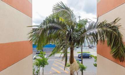 Apartamento com 2 quartos à venda na Rua David Tows, 3599, Sítio Cercado, Curitiba por R$ 235.000