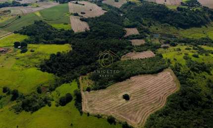 Chácara / sítio com 3 quartos à venda na Km, 114 - Jataizinho, Pr, 86210-000, 1, Zona Rural, Jataizinho por R$ 7.500.000