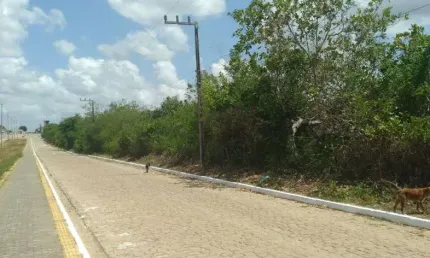 Terreno à venda, 182800 m² por R$ 800.000,00 - Centro - Poço Branco/RN