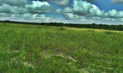 Sítio à venda, 300000 m² por R$ 1.500.000,00 - Ceará-mirim - Ceará-Mirim/RN