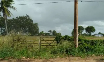 Fazenda à venda, 345000 m² por R$ 1.200.000,00 - Centro - Monte Alegre/RN