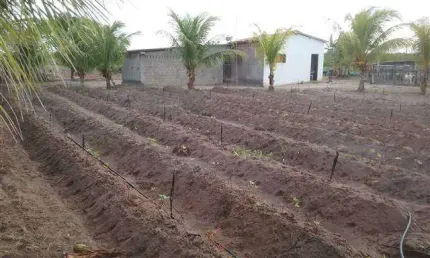 Sítio à venda, 100000 m² por R$ 300.000,00 - Ceará-mirim - Ceará-Mirim/RN