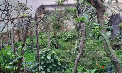 Casa com 3 quartos à venda na Avenida Doutor Hugo Beolchi, --, Jabaquara, São Paulo, 140 m2 por R$ 954.000