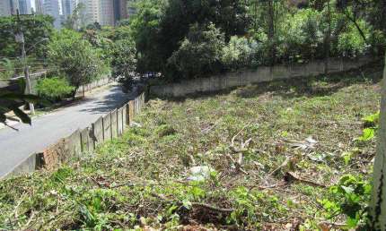 Terreno à venda, 2442 m² por R$ 24.420.000,00 - Vila Suzana - São Paulo/SP