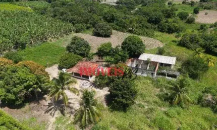 Chácara no Conde com 4.35 hectares, com sistema de irrigação