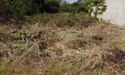 Terreno à venda na Rua Manoel Domingos dos Santos, Jaconé, Saquarema