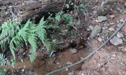 Fazenda à venda na Rod Castelo Branco Km 68, 78, Dona Catarina, Mairinque