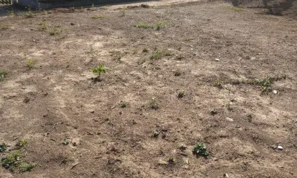 Terreno à venda na Rodovia Castelo Branco Km 64, 64, Dona Catarina, Mairinque