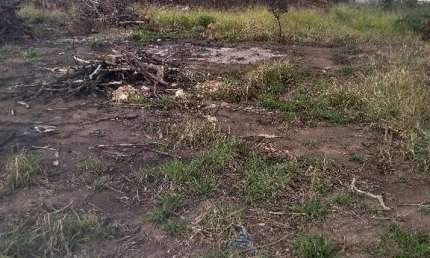 sitio &#224; venda ótima localização 70.000m&#178; R$ 998.000