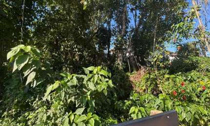 Terreno à venda na Bosque Da Orla, 110, Riviera de São Lourenço, Bertioga