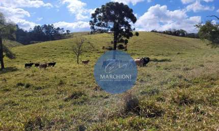 Chácara / sítio com 5 quartos à venda na -22.787884, -46.577510, 10010, Zona Rural, Pinhalzinho