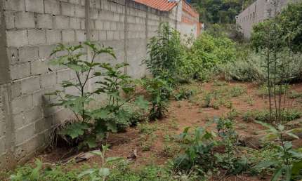 Lindo terreno, murado, com toda a infraestrutura. Pronto para a construção