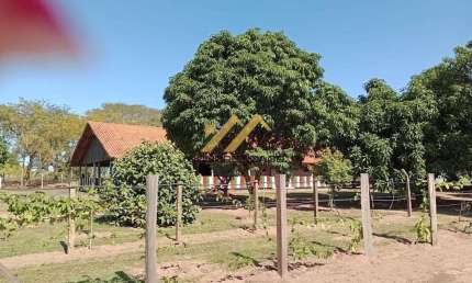 Chácara à venda em Tambaú, Estrada Municipal de Tambaú, com 3 quartos, com 8440 m²
