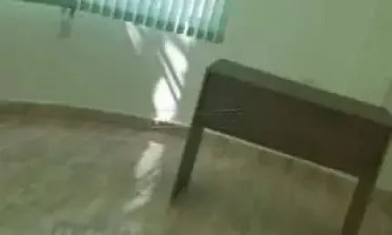 Ponto comercial para alugar na Rua Costa Aguiar, 444, Centro, Campinas