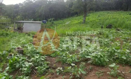 Terreno à venda na Avenida Doutora Sonia Maria Bulle Lopes, Buru, Salto