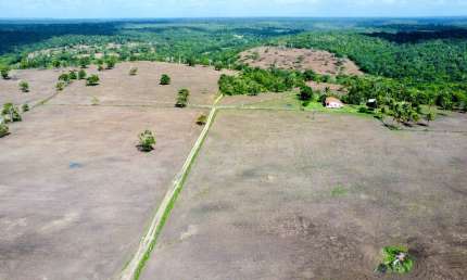 Fazenda à venda na Rua José Osete, Zona Rural, Cardeal da Silva
