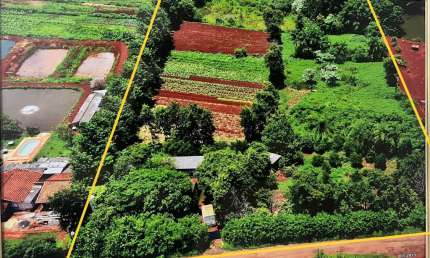 Chácara / sítio à venda na Área Rural, Área Rural de Londrina, Londrina