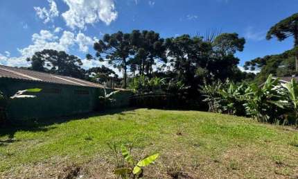 Terreno à venda na Quatro Barras, 850, Borda do Campo, Quatro Barras