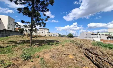 Terreno ZR2 Em Localização Privilegiada em Pinhais! Analisa Permuta!