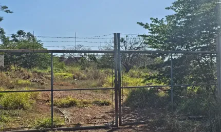 VENDO Chácara  com 21.000 m² Dentro Cidade Uberaba-Mg