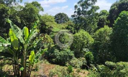 Sitio para venda com 25.000m2 bem proximo a estrada do vinho