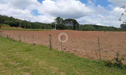 Area para investimento na Rota do vinho 100% aproveitavel