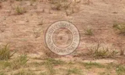 Terreno à venda na MILTON CARDOSO LEITE, Jardim Vitória, Mairinque por R$ 115.000